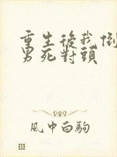 重生后我倒追渣男死对头