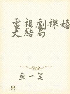 电视剧裸婚时代大结局