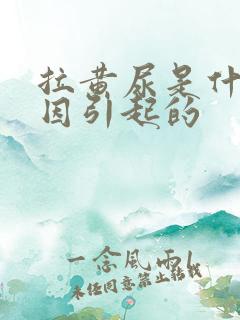 拉黄尿是什么原因引起的