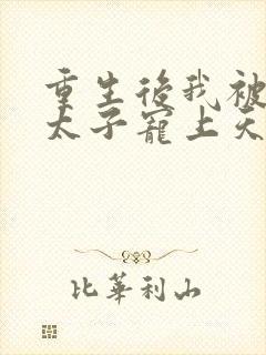 重生后我被病娇太子宠上天