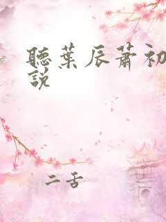 听叶辰萧初然小说