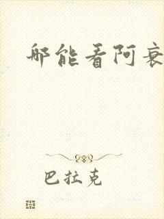 哪能看阿衰漫画