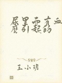 尿里面有血是什么引起的