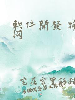 软件开发 物联网