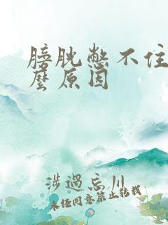 膀胱憋不住尿什么原因