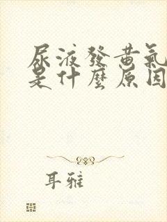 尿液发黄气味大是什么原因