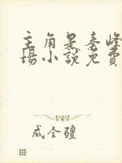 主角是秦峰的官场小说免费阅读