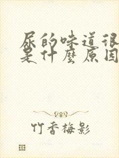 尿的味道很骚气是什么原因