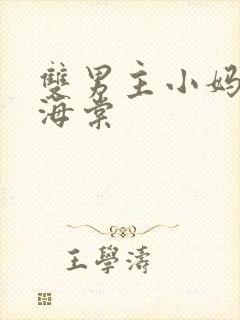 双男主小妈文学海棠