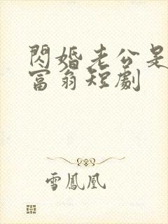 闪婚老公是亿万富翁短剧