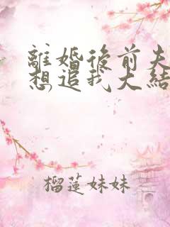 离婚后前夫总是想追我大结局