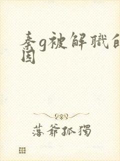 秦g被解职的原因