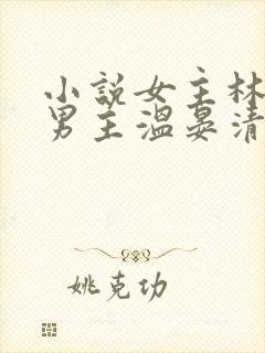 小说女主林甘棠男主温晏清的小说