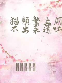 猫频繁上厕所尿不出来还吐