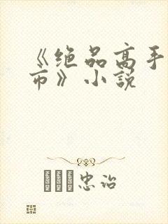 《绝品高手在都市》小说