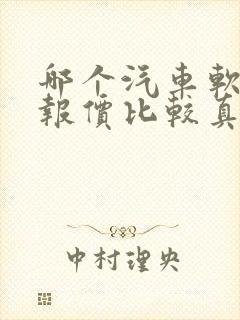 哪个汽车软件的报价比较真实