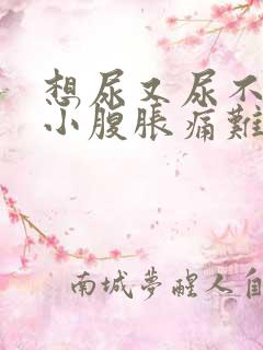 想尿又尿不出来小腹胀痛难受为什么