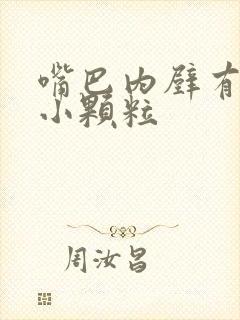 嘴巴内壁有很多小颗粒