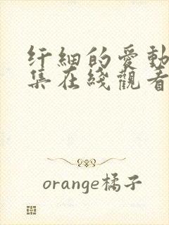 纤细的爱动漫全集在线观看免费