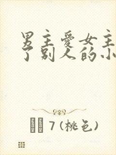 男主爱女主却娶了别人的小说