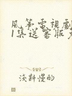 风筝电视剧全51集送审版免费观看