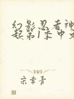 幻影忍者神龙崛起第1季中文版