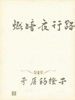 燃暗夜行路