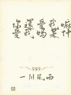 你还爱我嘛你还爱我吗是什么歌