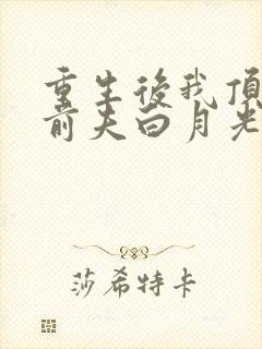 重生后我顶替了前夫白月光在线阅读