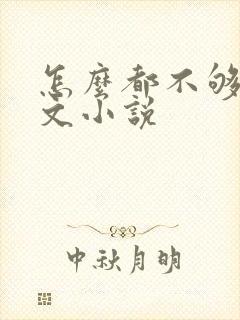 怎么都不够她全文小说