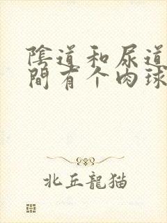 阴道和尿道口中间有个肉球