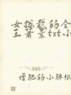 女总裁的全能兵王萧晨txt小说下载