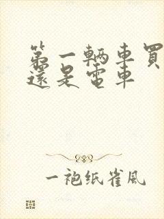 第一辆车买油车还是电车