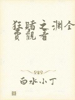 狂赌之渊全集免费观看