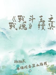 《战斗王之飓风战魂》续集