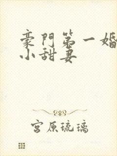 豪门第一婚吻安小甜妻