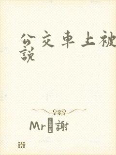 公交车上被摸小说