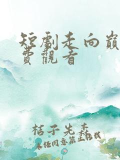 短剧走向巅峰免费观看