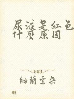 尿液是红色的是什么原因