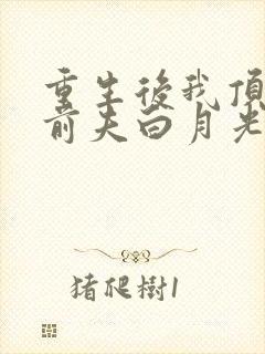 重生后我顶替了前夫白月光 无弹窗