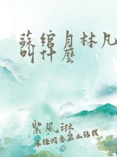 苏绾月林凡小说叫什么