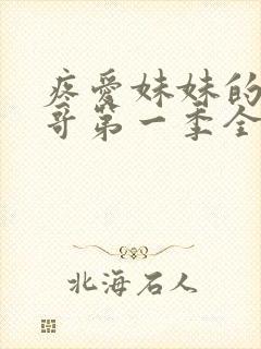 疼爱妹妹的好哥哥第一季全集免费