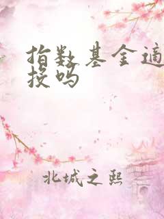 指数基金适合定投吗