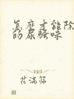 怎么才能除去狗的尿骚味