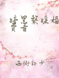 暗黑系暖婚 免费看