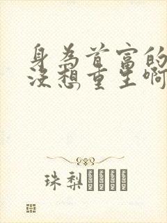 身为首富的我真没想重生啊