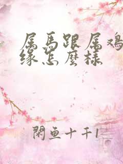 属马跟属鸡的姻缘怎么样