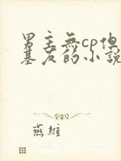 男主无cp但有基友的小说