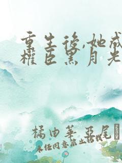 重生后,她成了权臣黑月光原著作者