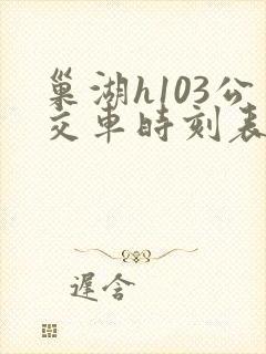 巢湖h103公交车时刻表